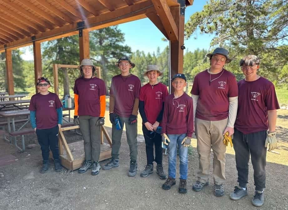 Picture3 service project
